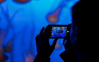 Data and next steps for arts, culture and entertainment